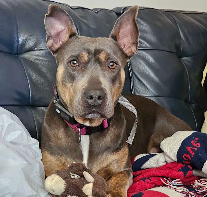 Photo of Grace