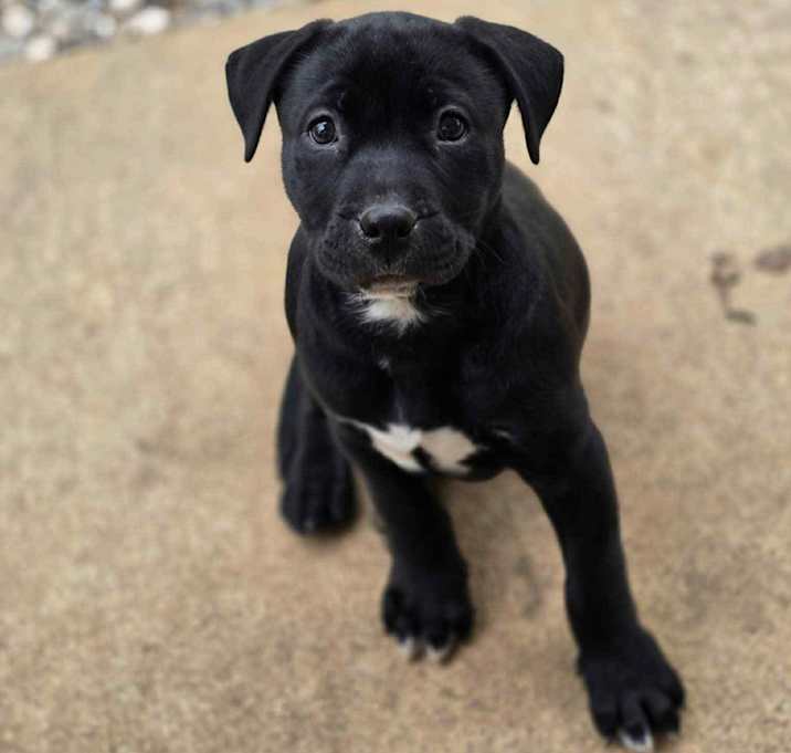 Photo of Cinder