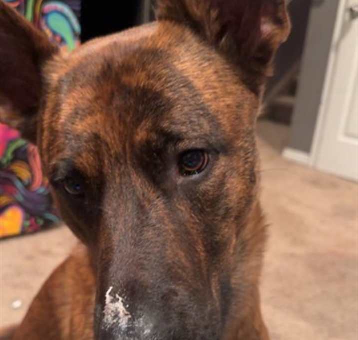 Photo of DIESEL