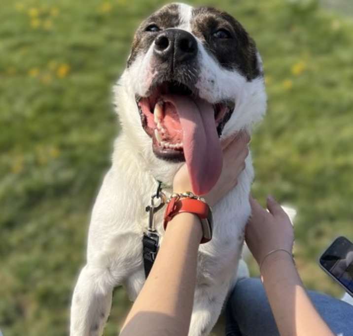 Photo of Petey