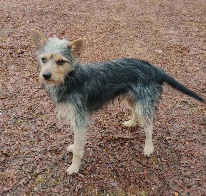 Photo of Max