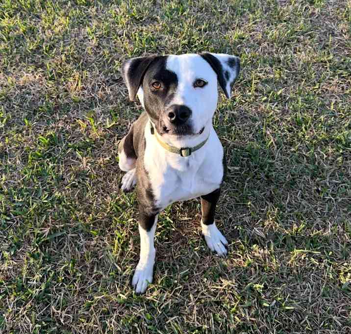 Photo of Oliver