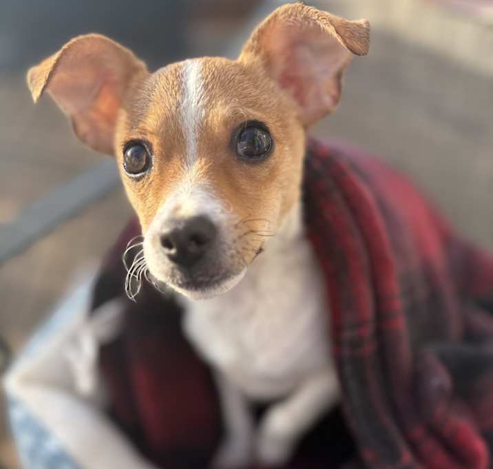 Photo of Sailor
