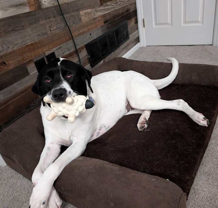 Photo of Rosie
