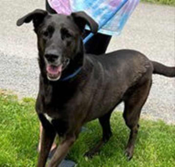 Photo of Lulu