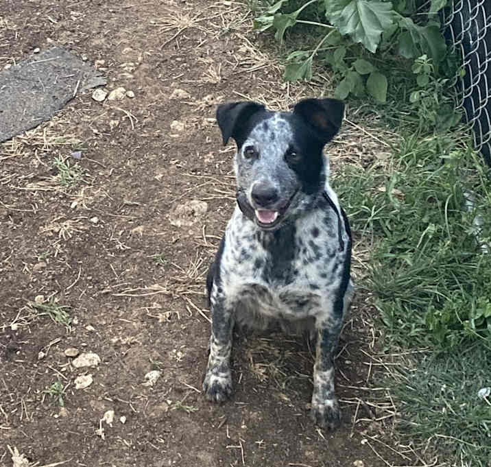 Photo of Holly