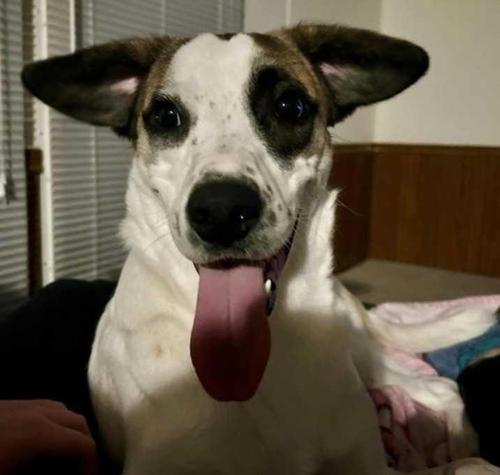 Photo of Bohman