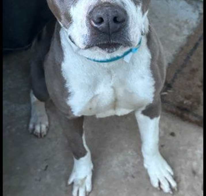 Photo of Tia