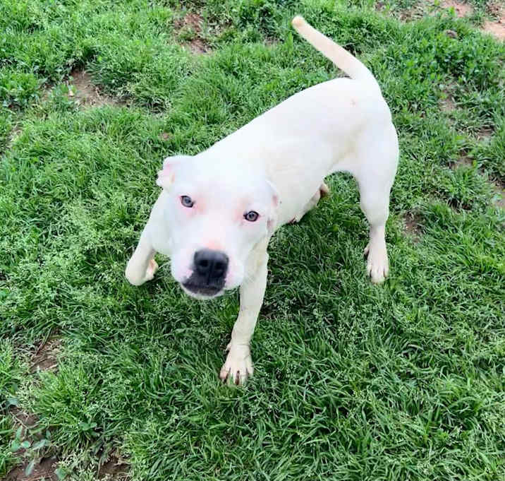 Photo of Sugar