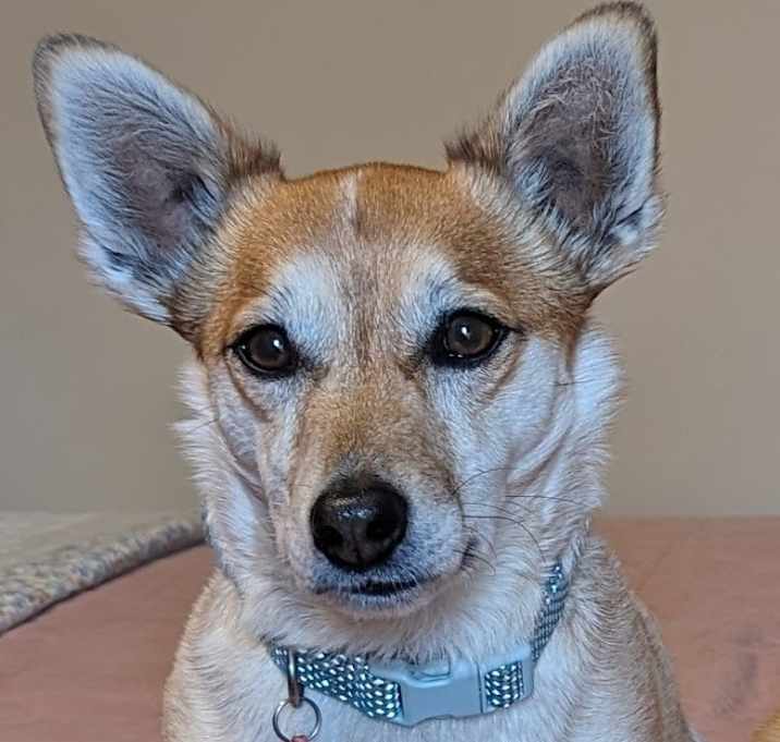 Photo of Jax