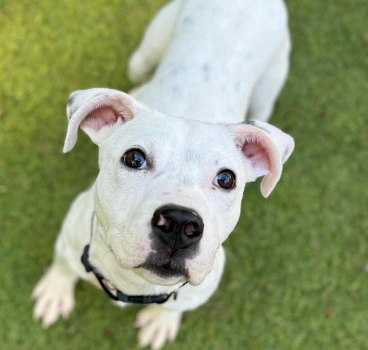 Photo of Flynn