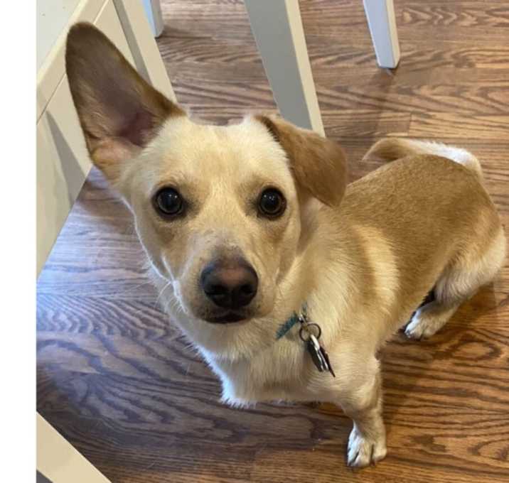 Photo of Max
