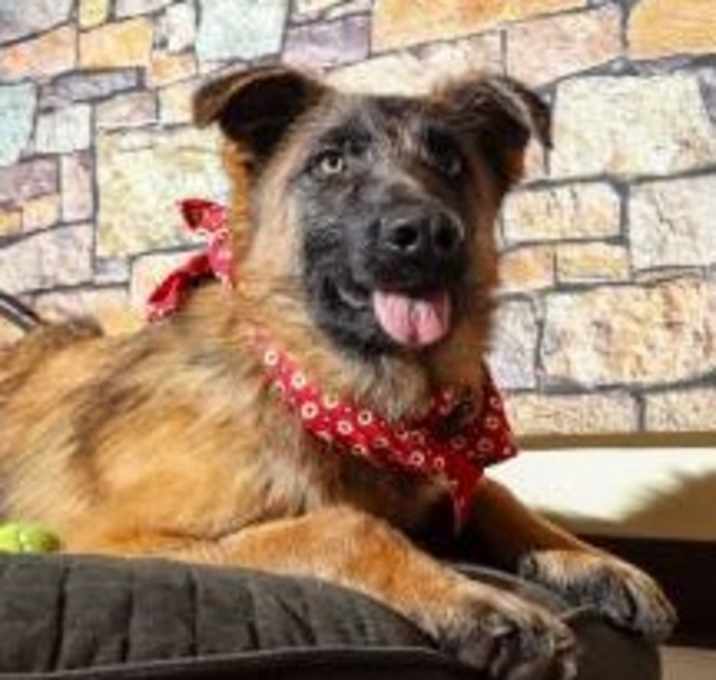 Photo of Dex