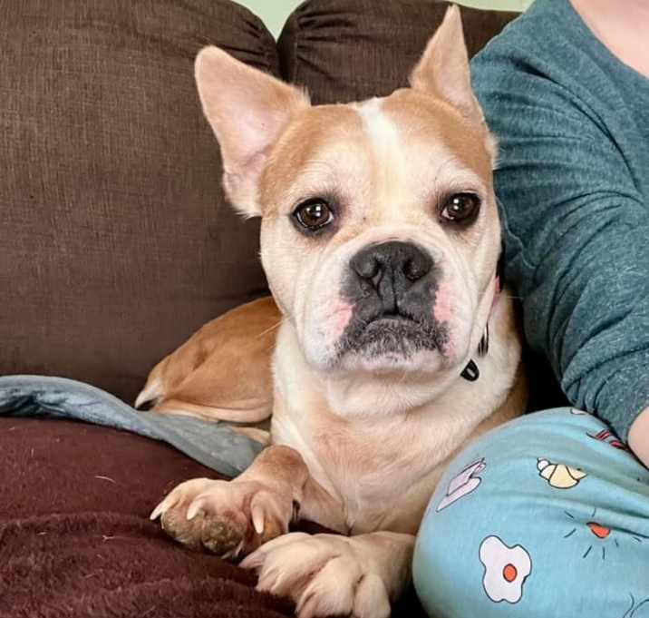 Photo of Lacey