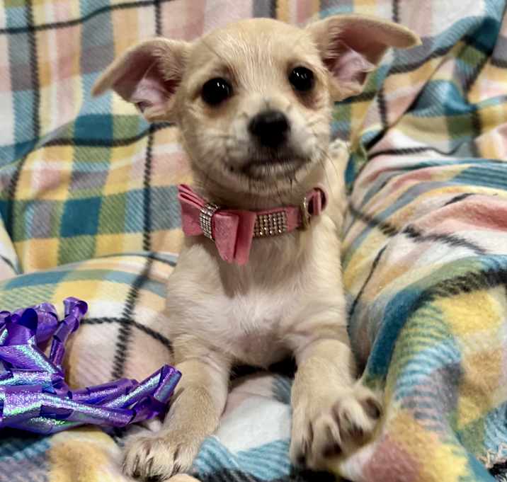 Photo of Mable