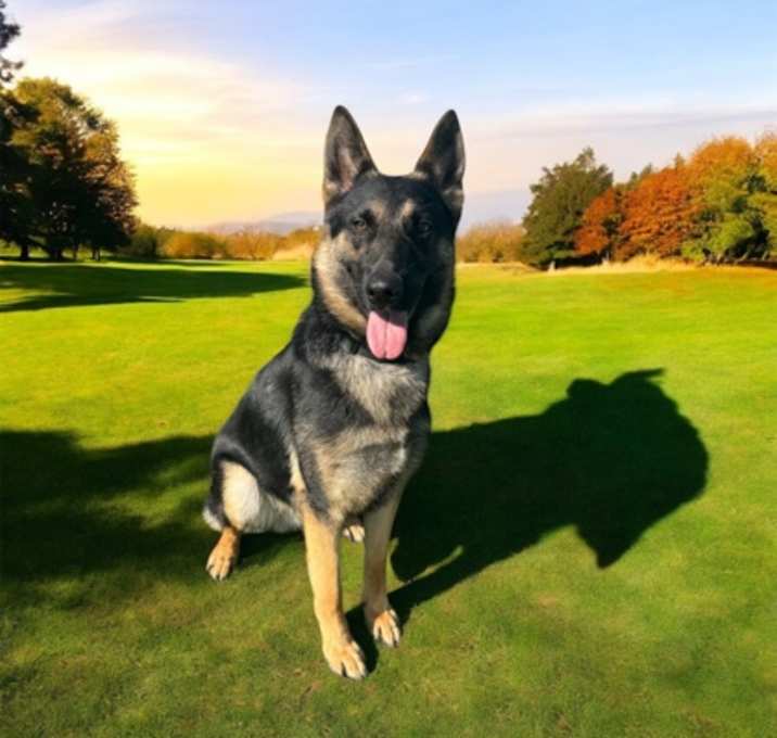 Photo of Charlie