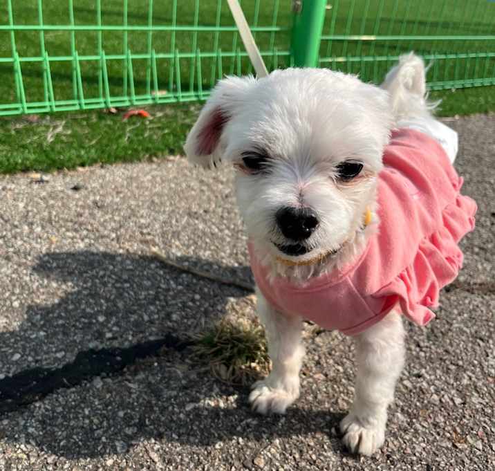 Photo of Winny