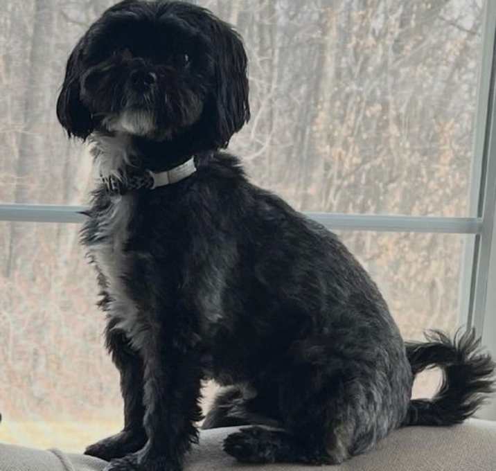 Photo of Bauer