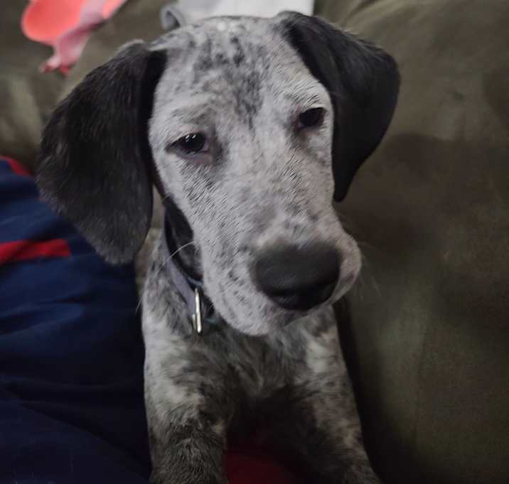 Photo of Jasper