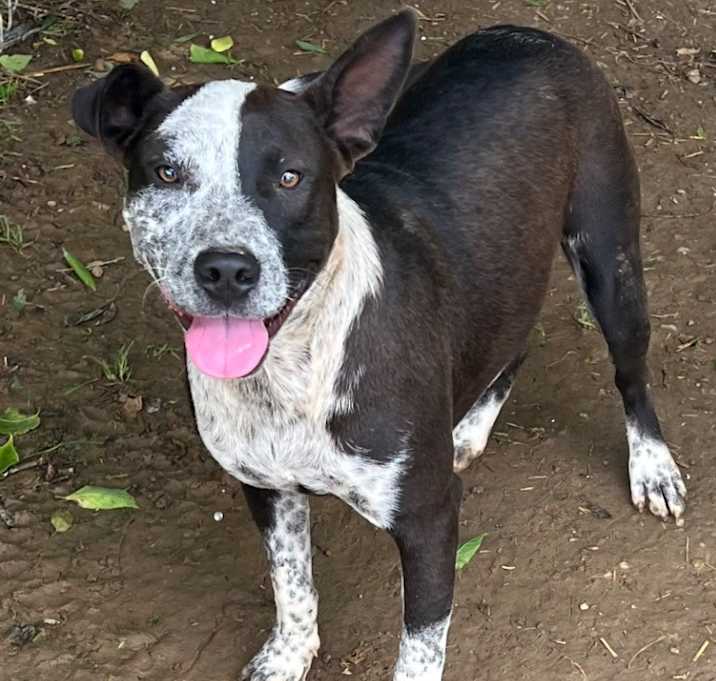 Photo of Ernie