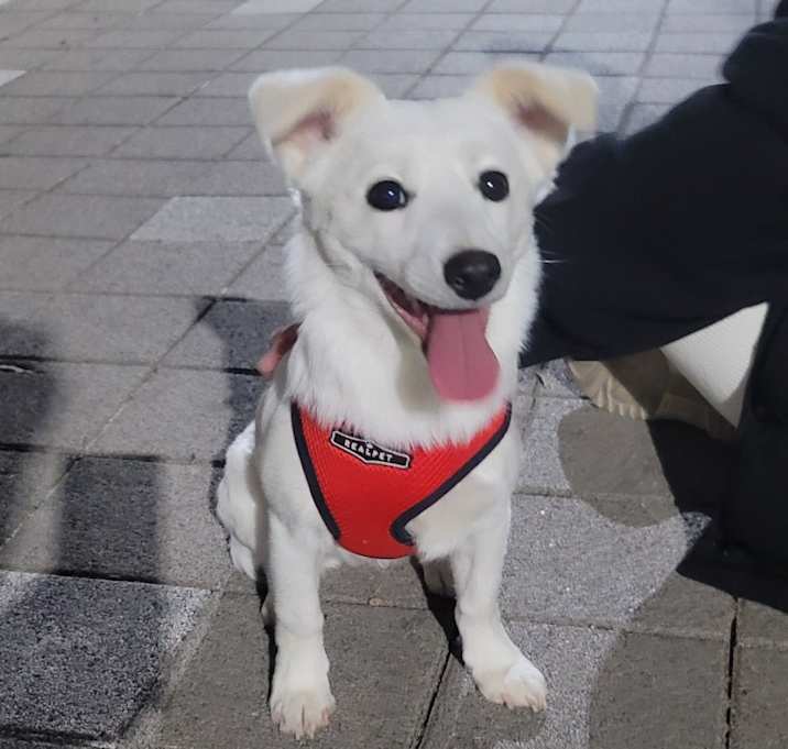 Photo of Goeul