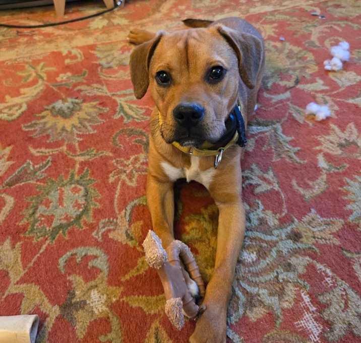 Photo of Cosmo