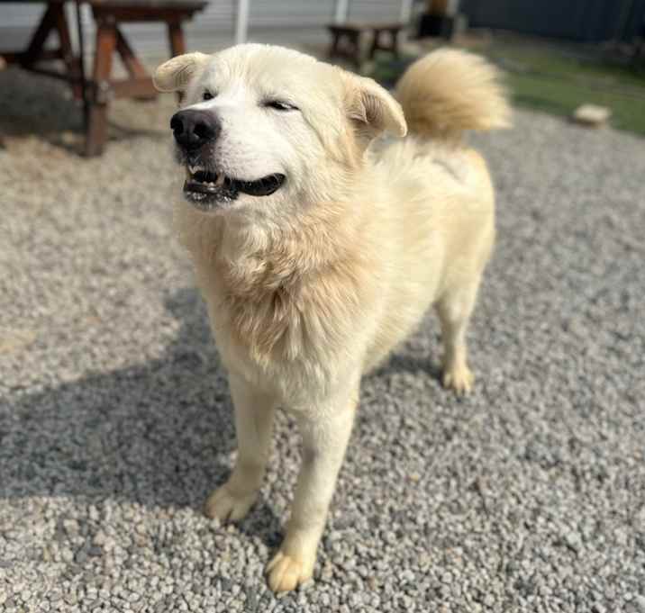 Photo of Cloud