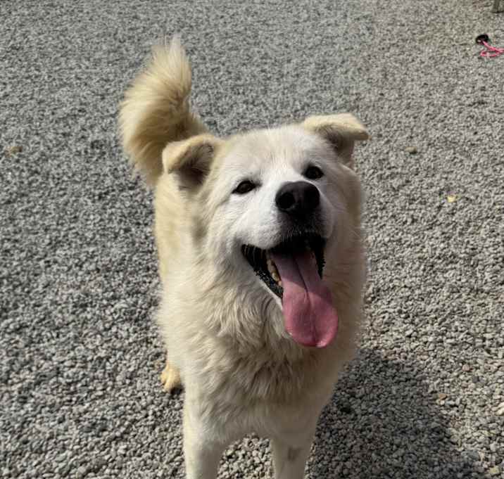 Photo of Cloud