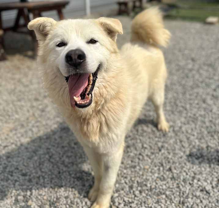 Photo of Cloud