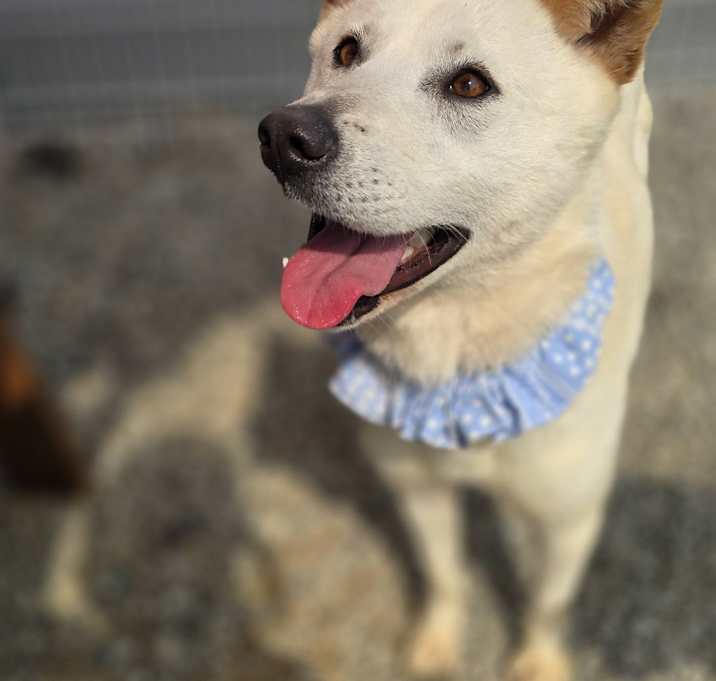 Photo of Molly