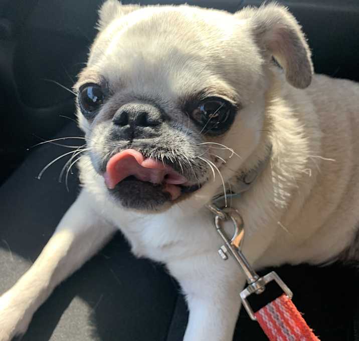 Photo of Saphire