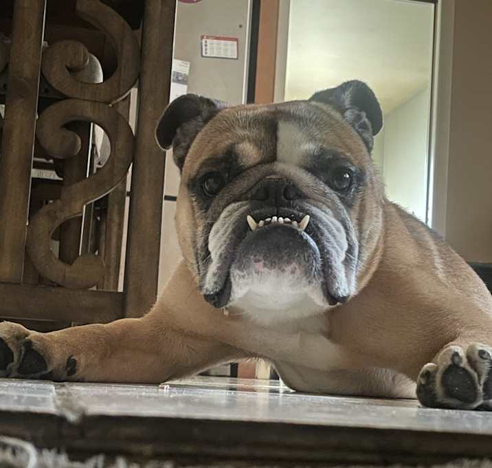Photo of Khloe