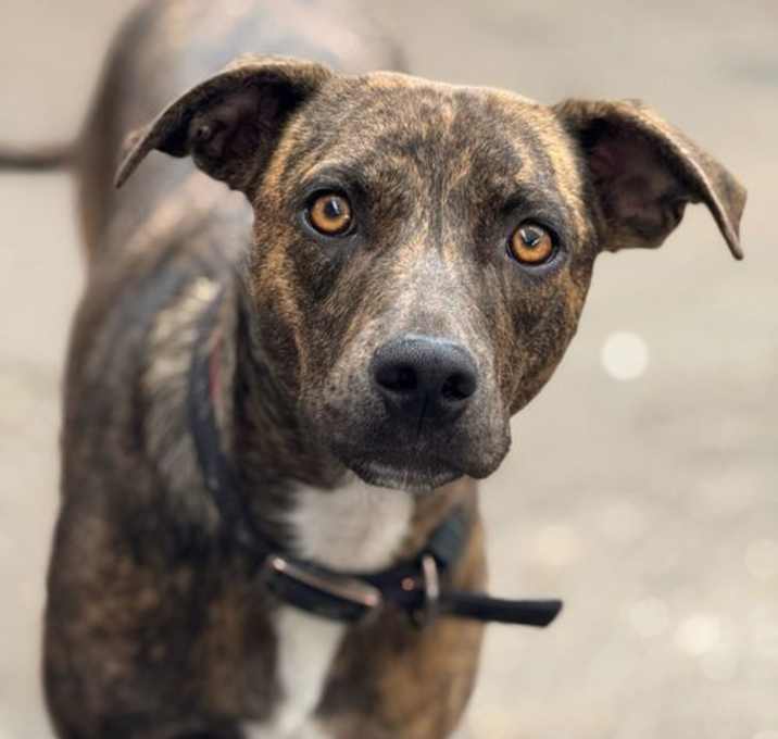 Photo of Zena