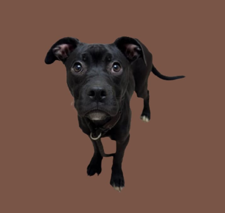 Photo of Grim