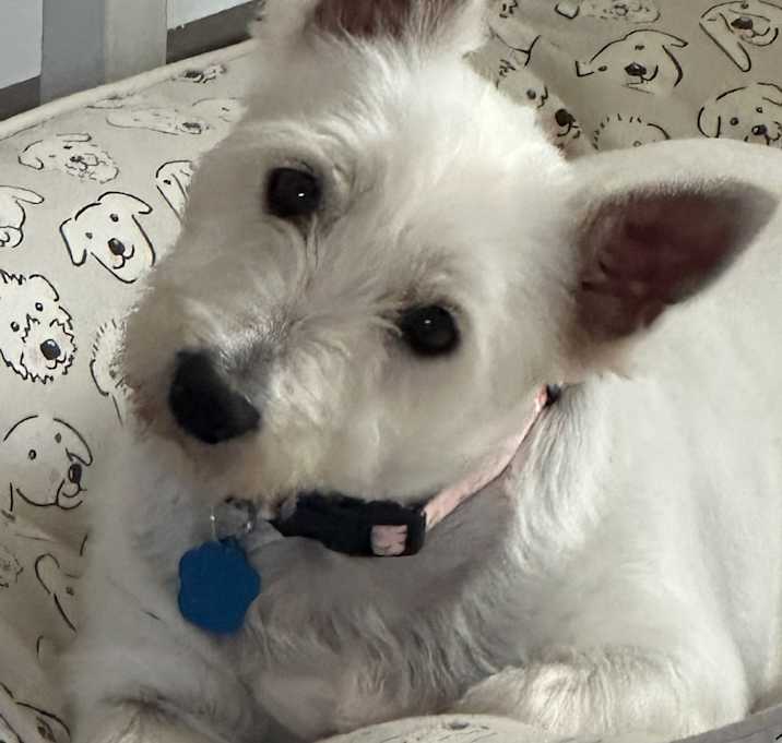Photo of Betsy