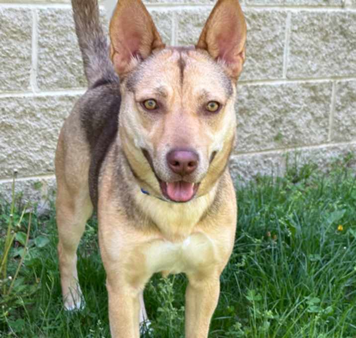 Photo of Calliope