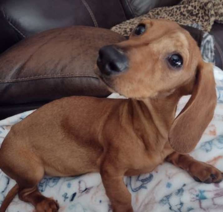 Photo of Bert Jr