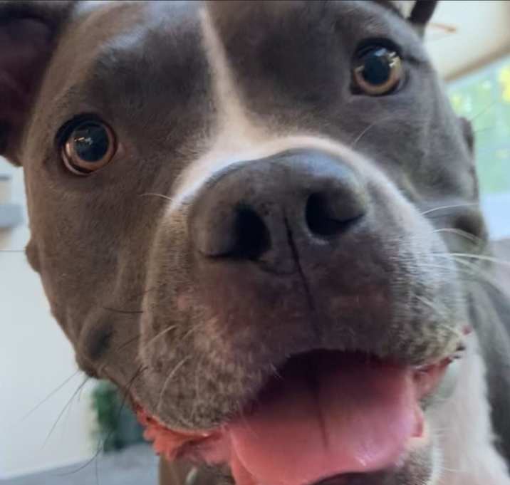 Photo of Ella