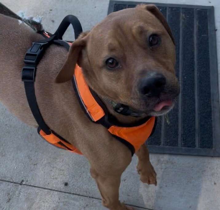 Photo of Waylon