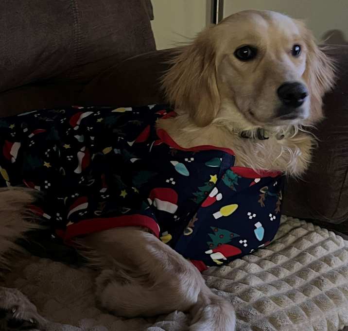Photo of Hazel