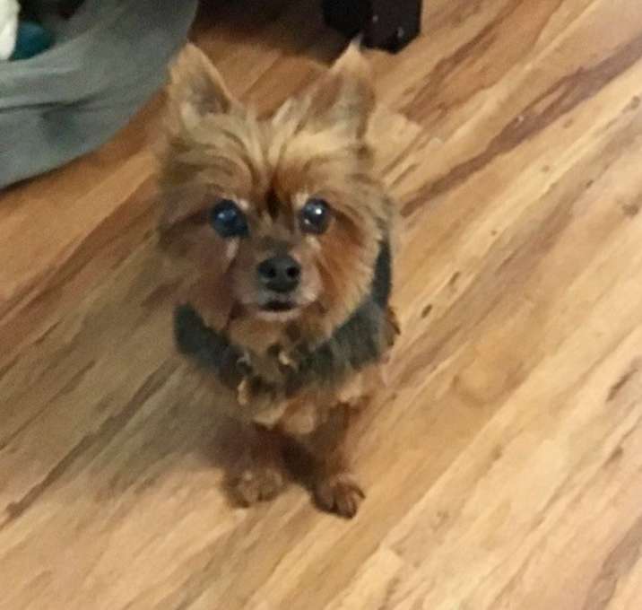 Photo of Max