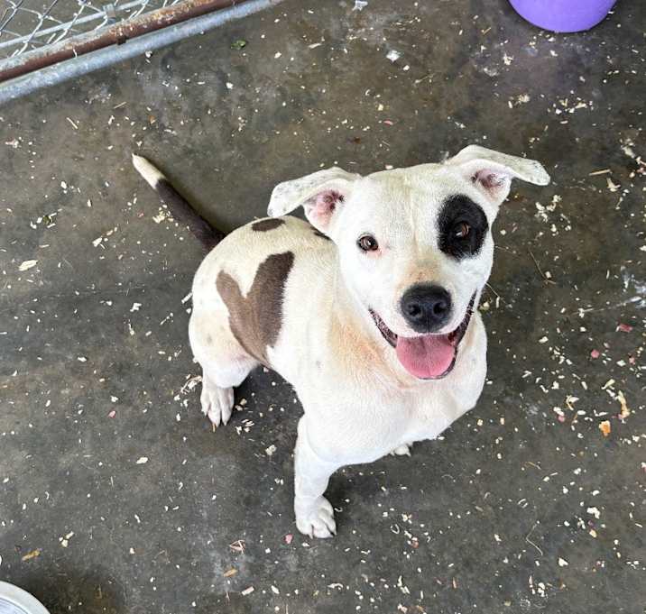 Photo of Lola