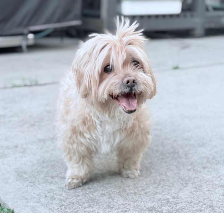 Photo of Charlie