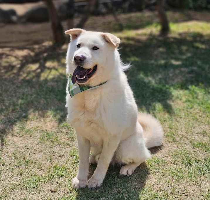 Photo of Jake