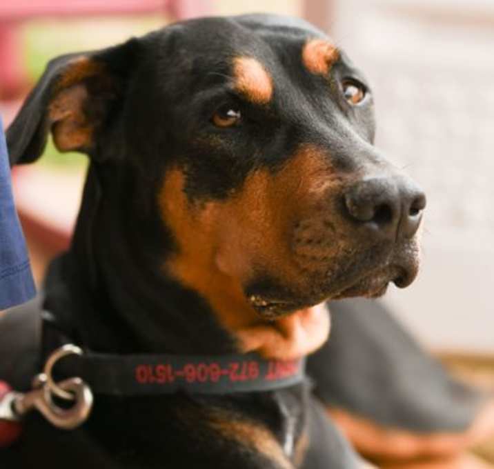 Photo of Cindy