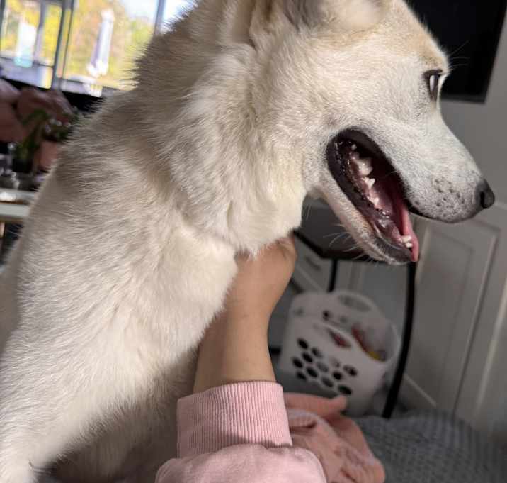 Photo of Ghost