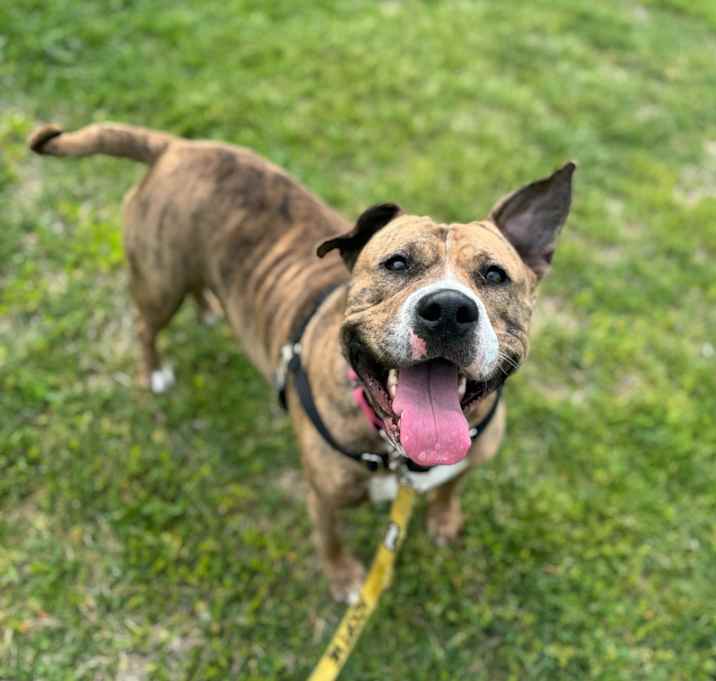 Photo of Coco