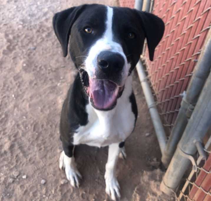 Photo of Bentley