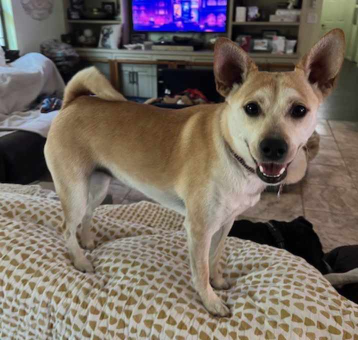 Photo of Skittles