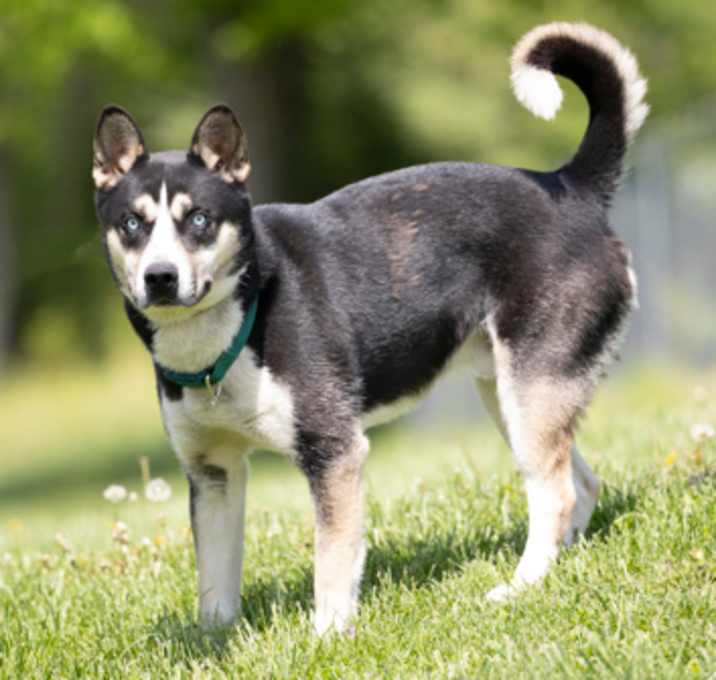 Photo of Duke